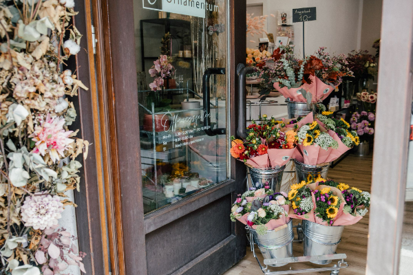 Bild 1 von Ornamentum